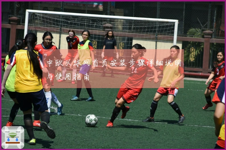 中欧买球网首页安装步骤详细说明与使用指南