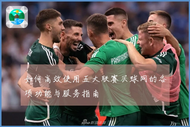 如何高效使用五大联赛买球网的各项功能与服务指南