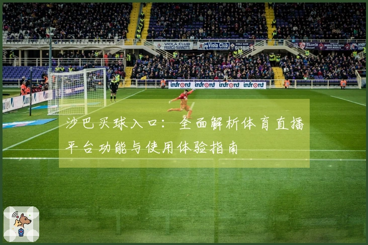 沙巴买球入口：全面解析体育直播平台功能与使用体验指南