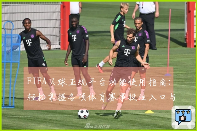 FIFA买球正规平台功能使用指南：轻松掌握各项体育赛事投注入口与操作详解