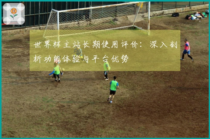 世界杯主站长期使用评价：深入剖析功能体验与平台优势