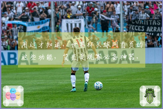 用过才知道，世界杯买球网首页的这些功能，简直是观赛必备神器，用起来太顺手了