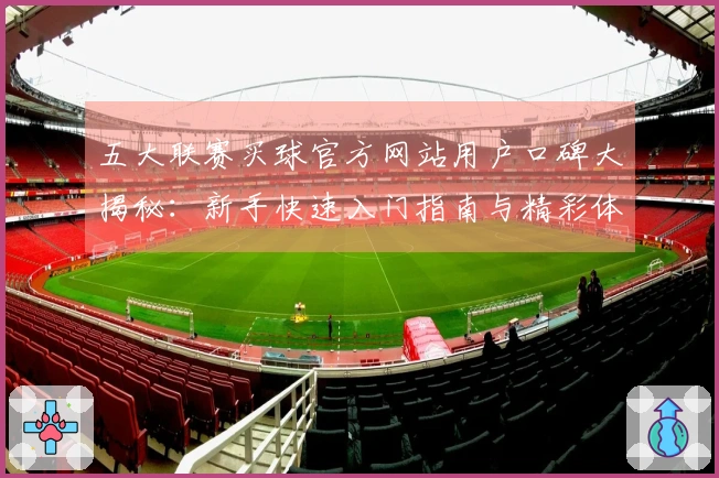 五大联赛买球官方网站用户口碑大揭秘：新手快速入门指南与精彩体验分享