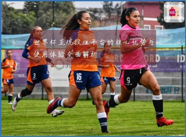 世界杯正规投注平台的核心优势与使用体验全面解析