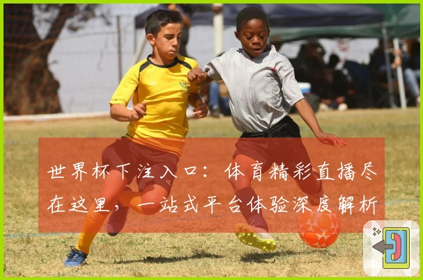 世界杯下注入口：体育精彩直播尽在这里，一站式平台体验深度解析