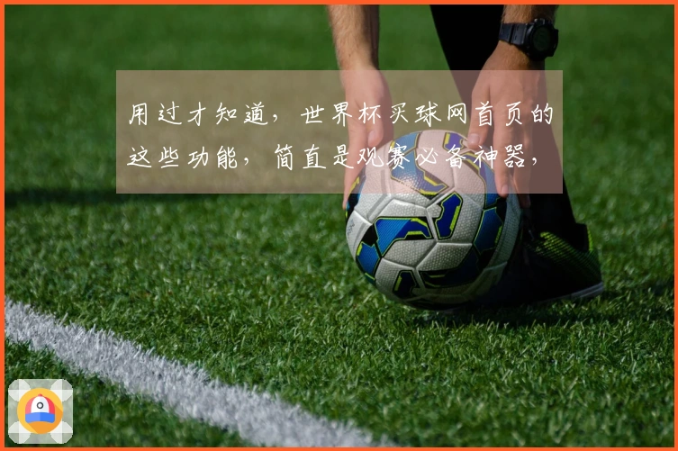 用过才知道，世界杯买球网首页的这些功能，简直是观赛必备神器，用起来太顺手了